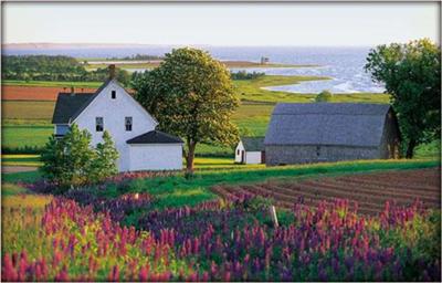 Scenery of Prince Edward Island (1)