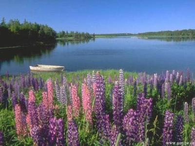 Scenery of Prince Edward Island (2)