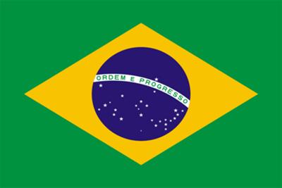 The national flag of Brazil