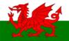 This is the flag of Wales