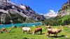 The Swiss Alps in summer